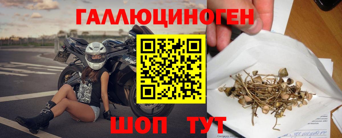 Галлюциногенные грибы Magic Shrooms  Галлюциногенные грибы GOLDEN TEACHER  Вход с VPN  Анжеро-Судженск 